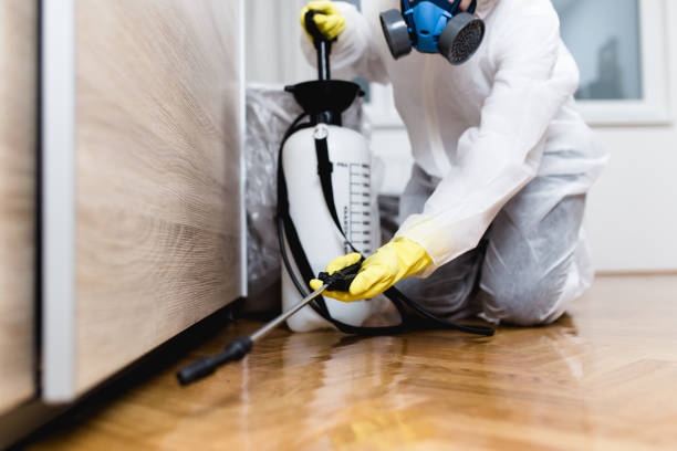 Best Termite Control Services  in Mayflower, AR