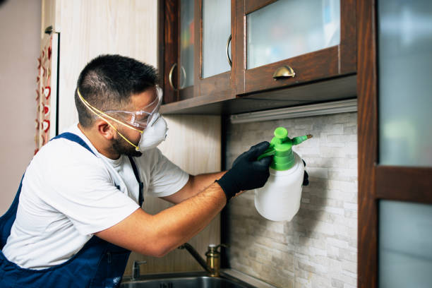 Best Pest Control Near Me in Mayflower, AR