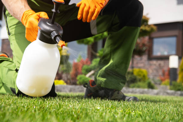 Best Pest Control for Businesses  in Mayflower, AR