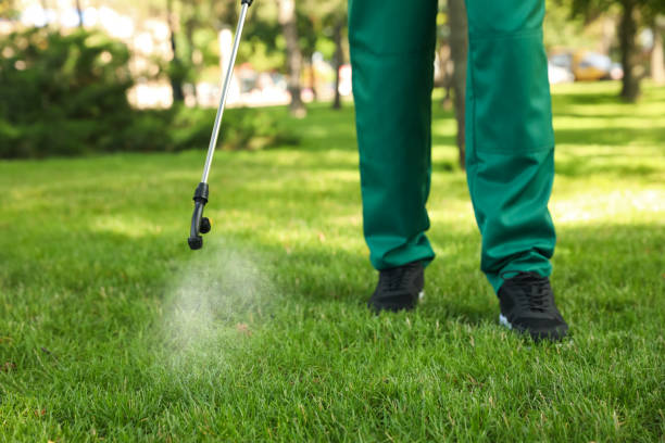 Best Exterminator Services  in Mayflower, AR