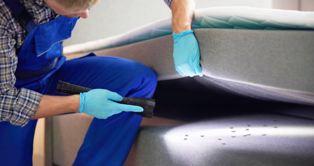 Pest Prevention Services in Mayflower, AR