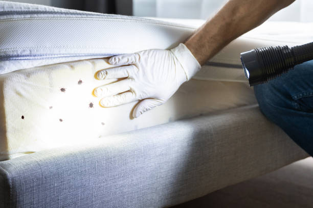 Best Pest Control for Restaurants  in Mayflower, AR