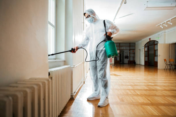 Best Best Pest Control Near Me  in Mayflower, AR