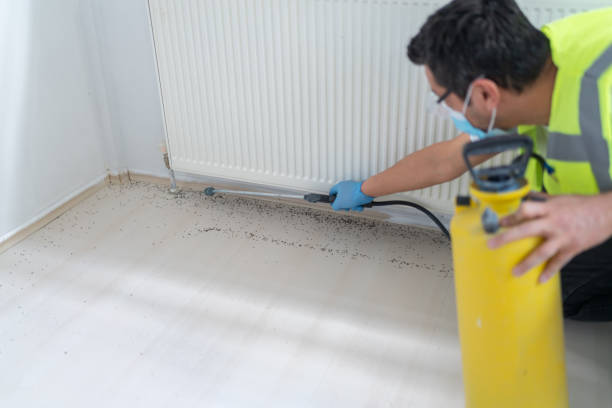 Best Commercial Pest Control Services  in Mayflower, AR