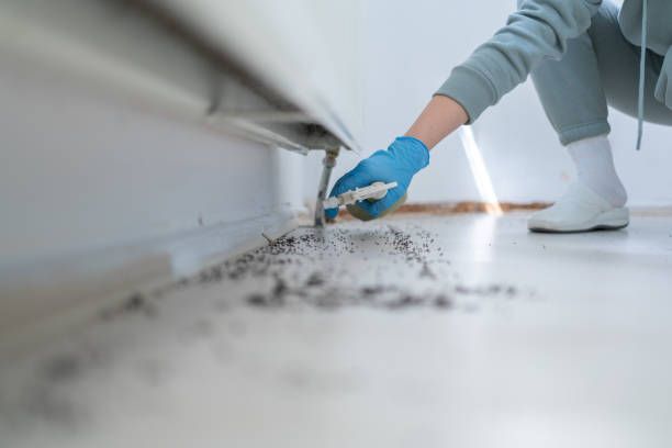 Best Mosquito Control Services  in Mayflower, AR